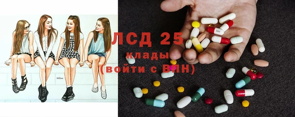 ПСИЛОЦИБИНОВЫЕ ГРИБЫ Балабаново