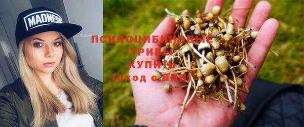 молекула духа Балахна