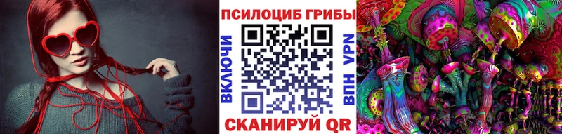 Псилоцибиновые грибы MAGIC MUSHROOMS Шуя
